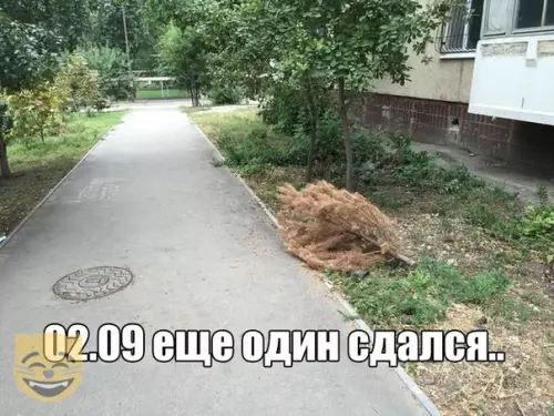 Смешная картинка №389777