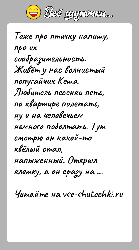 История: Тоже про птичку напишу, про их сообразительность.Живёт у нас волнистый попугайчик Кеша. Любитель песенки петь, по квартире полетать, ну и