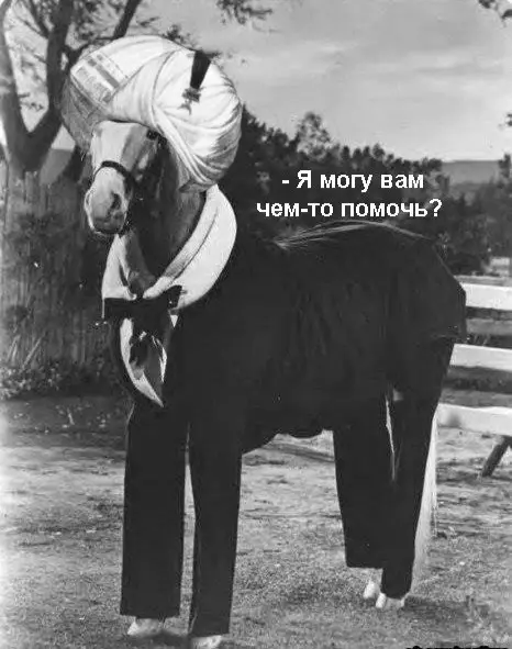 Смешная картинка №335259 Меня нет.
По всем вопросам обращайтесь к моему КОНЬСУЛТАНУ.