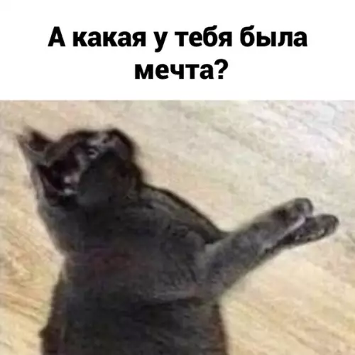 продолжение Смешная картинка №586193 Meчты должны сбываться