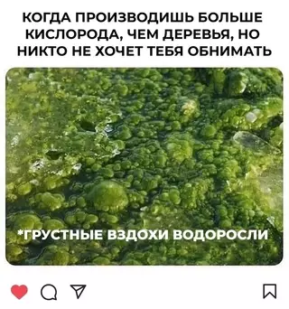 Смешная картинка №655378