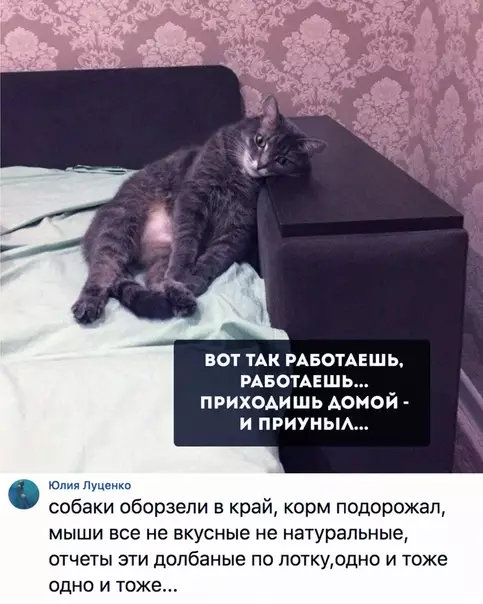Смешная картинка №285110