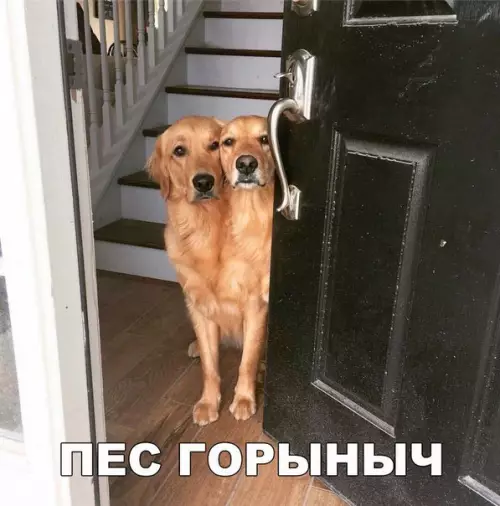 Смешная картинка №188327