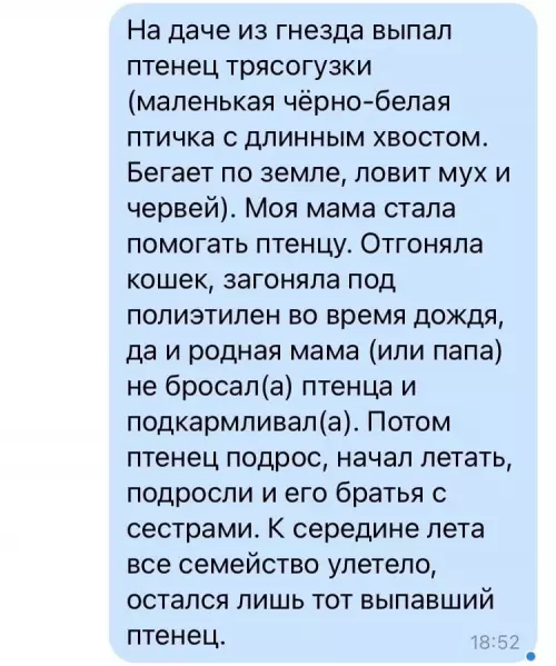 Смешная картинка №630820
