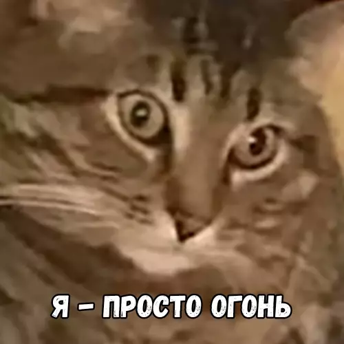 продолжение Смешная картинка №678375