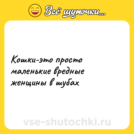 Шутка: Кошки-это просто маленькие вредные женщины в шубах