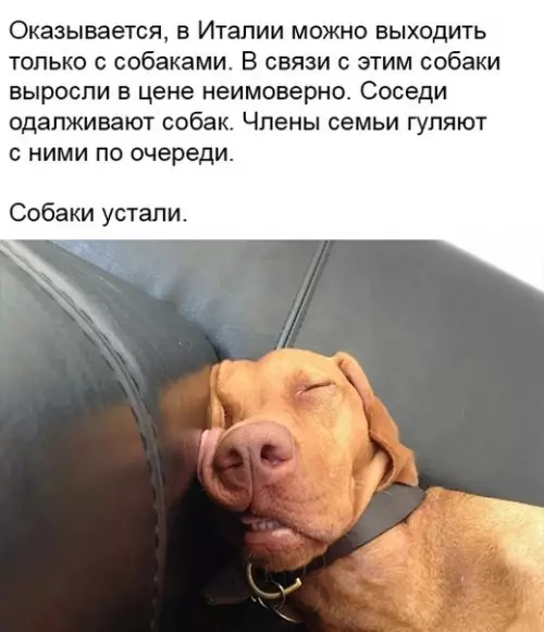 Смешная картинка №479660 Время диктует свои условия.