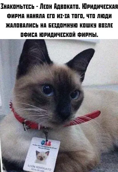 Смешная картинка №389215