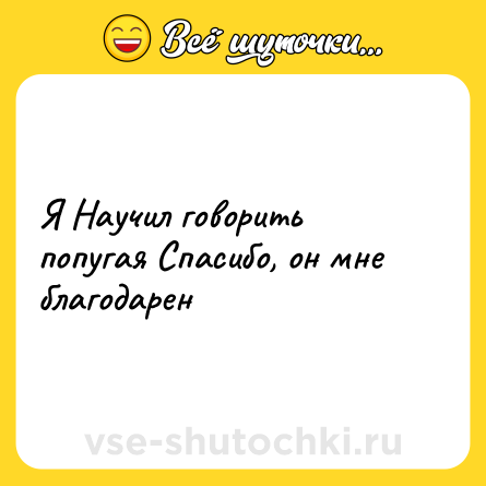 Шутка: Я Научил говорить попугая Спасибо, он мне благодарен