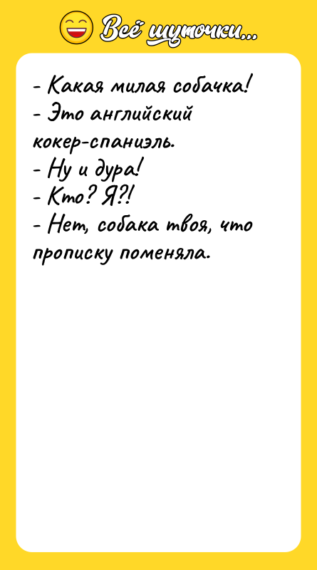- Какая милая собачка! - Это английский кокер-спаниэль. - Ну