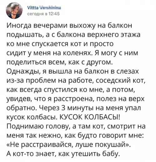 Смешная картинка №238463
