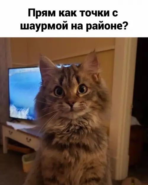 продолжение Смешная картинка №656533