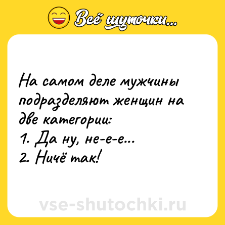 Шутка: На самом деле мужчины подразделяют женщин на две категории: <br>1. Да ну, не-е-е...<br>2. Ничё так!