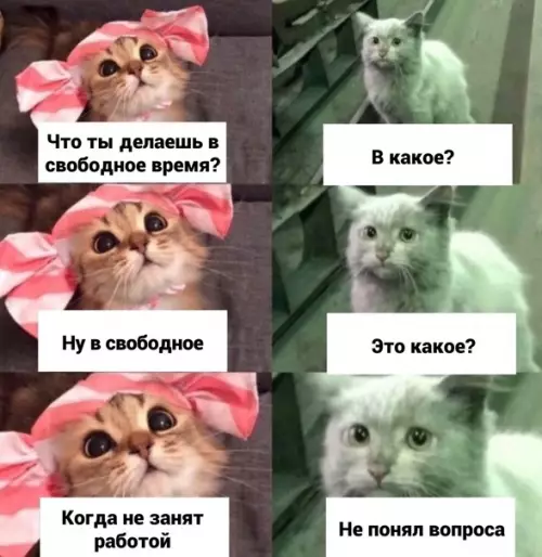 Смешная картинка №599741 - Чтo?
- Чтo? работа