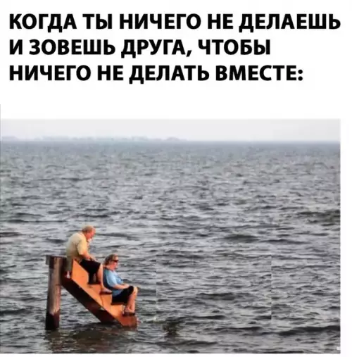 Смешная картинка №280229 друзья