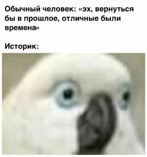 Смешная картинка №723905