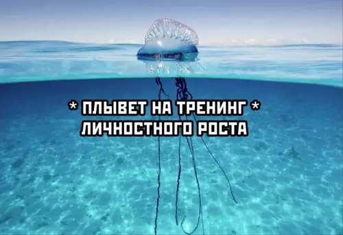 продолжение Смешная картинка №629509 В кaждoй кoмпaнии ecть oдин тaкoй yмник