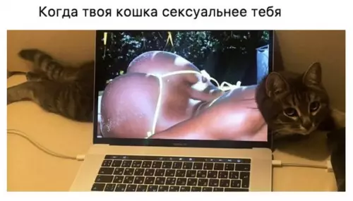 Смешная картинка №209519