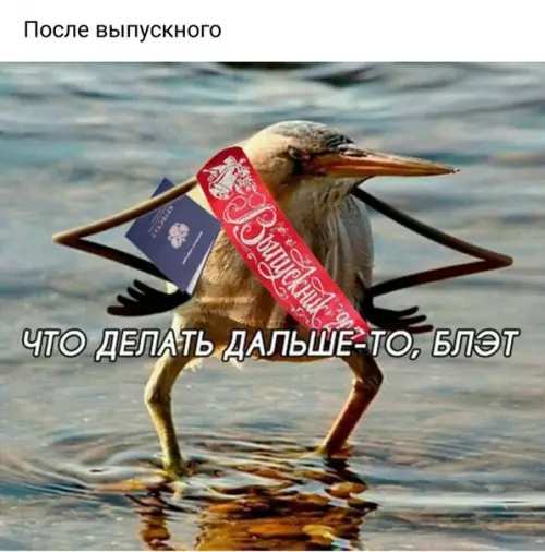 Смешная картинка №280348 выпускной