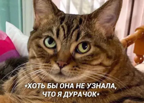 Смешная картинка №412849 Когда пригласил на свидание девушку, которая очень нравится