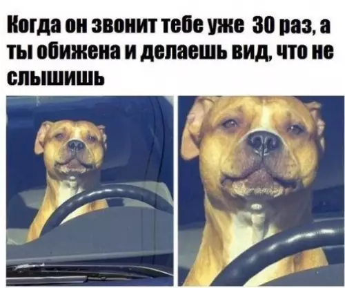 Смешная картинка №229270