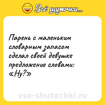 Шутка: Парень с маленьким словарным запасом сделал своей девушке предложение словами: «Ну?»