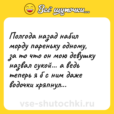 Шутка: Полгода назад набил морду пареньку одному, за то что он мою девушку назвал сукой... а ведь теперь я б с ним даже водочки хряпнул...