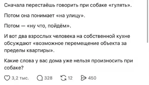 Твой пес слишком умный для тебя! 😂🐕 - Сначала перестаёшь говорить при собаке гулять. Потом она понимает на