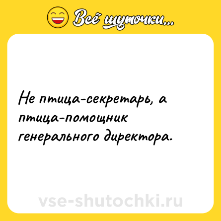 Шутка: Не птица-секретарь, а птица-помощник генерального директора.