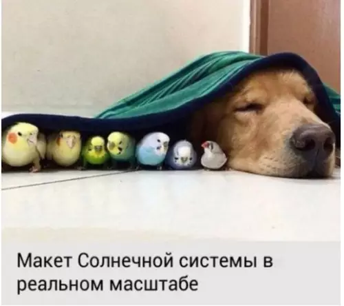 Смешная картинка №250873