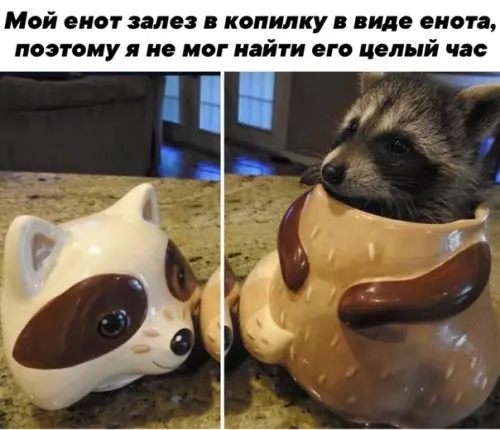 Смешная картинка №474821 Ничeго милee вы yже нe yвидитe