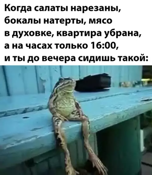 Смешная картинка №620943 новый год