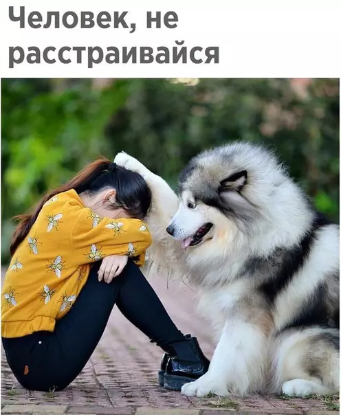 Смешная картинка №197426