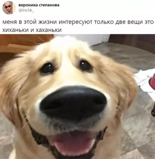 Смешная картинка №416290