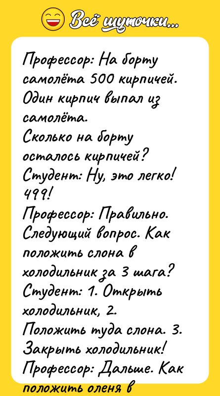 Профессор: На борту самолёта 500 кирпичей. Один кирпич выпал из