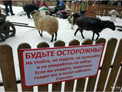Смешная картинка №250800 В Нижегородском детском парке