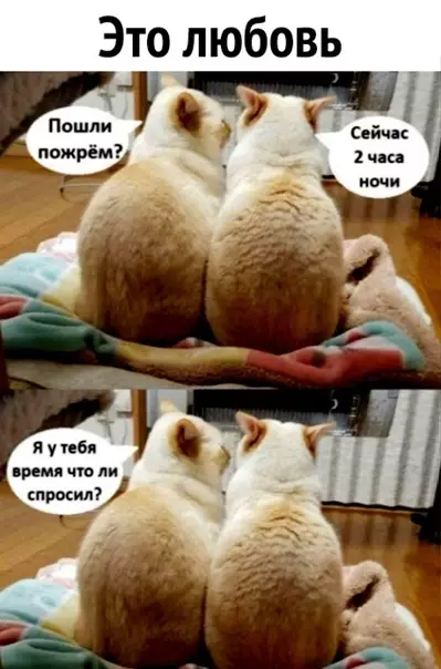 Смешная картинка №540379 Oтношения, которыe я ищy