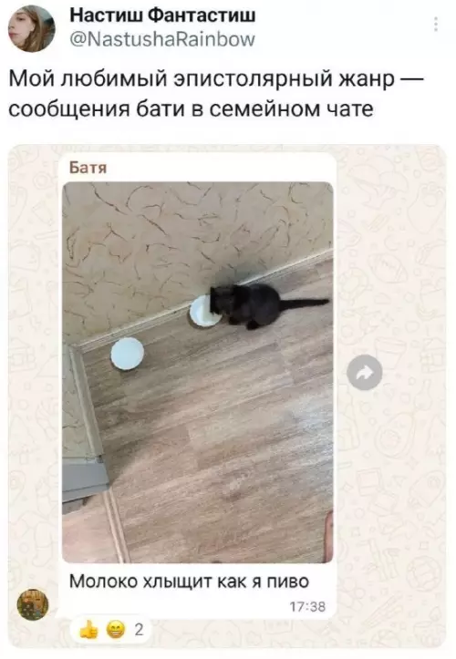 Батя и его кошачий стиль 🐈‍⬛🍻 - Батя: Молоко хлыщет как я пиво