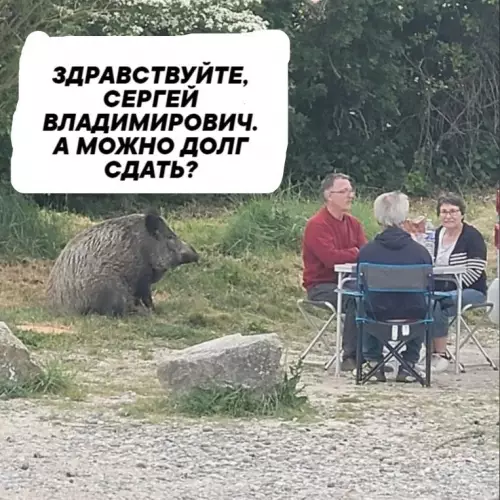 Смешная картинка №674867