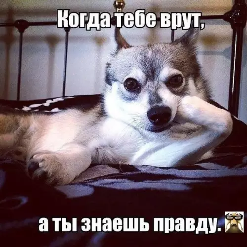 Смешная картинка №367042