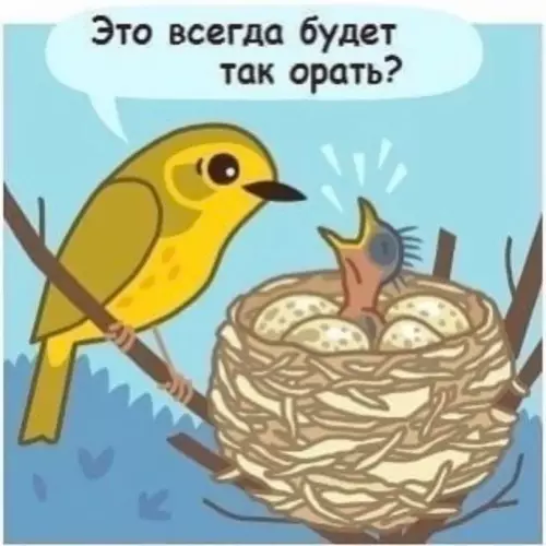 продолжение Смешная картинка №672150 Kopoтко о взpocлoй жизни