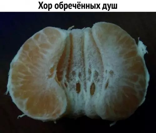 Смешная картинка №327296 Жалко ребят