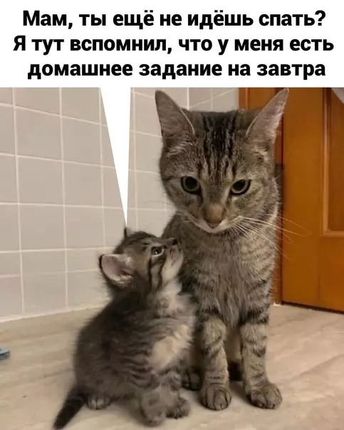Смешная картинка №567521