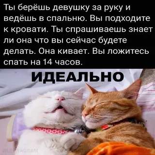 Смешная картинка №673603 :3