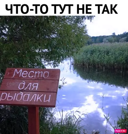 Смешная картинка №335297