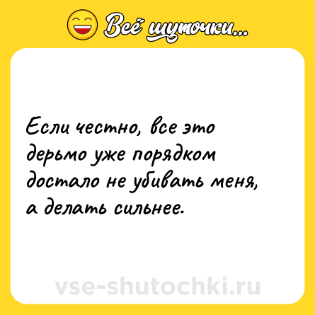 Шутка: Если честно, все это дерьмо уже порядком достало не убивать меня, а делать сильнее.