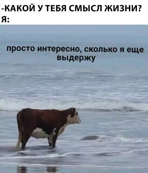 Смешная картинка №311263