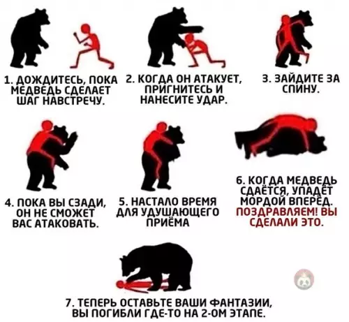 Смешная картинка №538095 Что делать, если вы повстречали в лесу медведя: