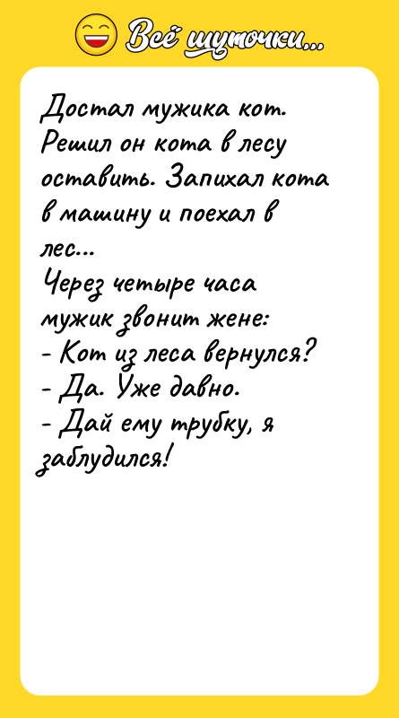 Достал мужика кот. Решил он кота в лесу оставить. Запихал