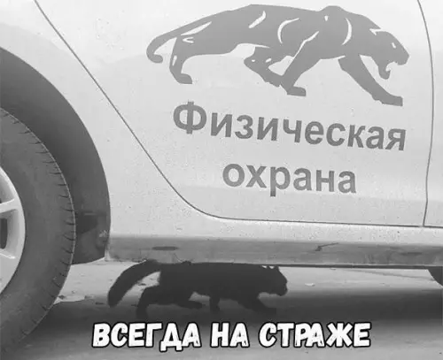 Смешная картинка №407459